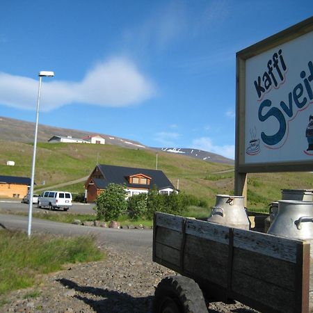 Daeli Guesthouse Víðidalstunga Exterior foto